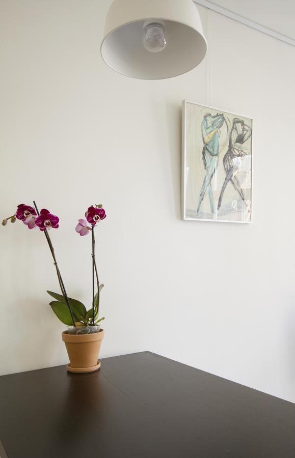 Tweede Laurierdwarsstraat Apartment Amsterdam Ngoại thất bức ảnh